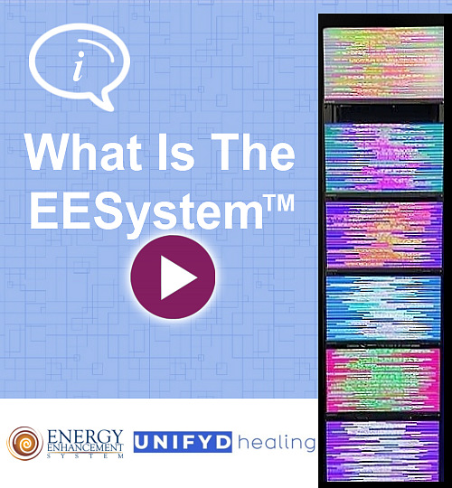 What Is The EESystem